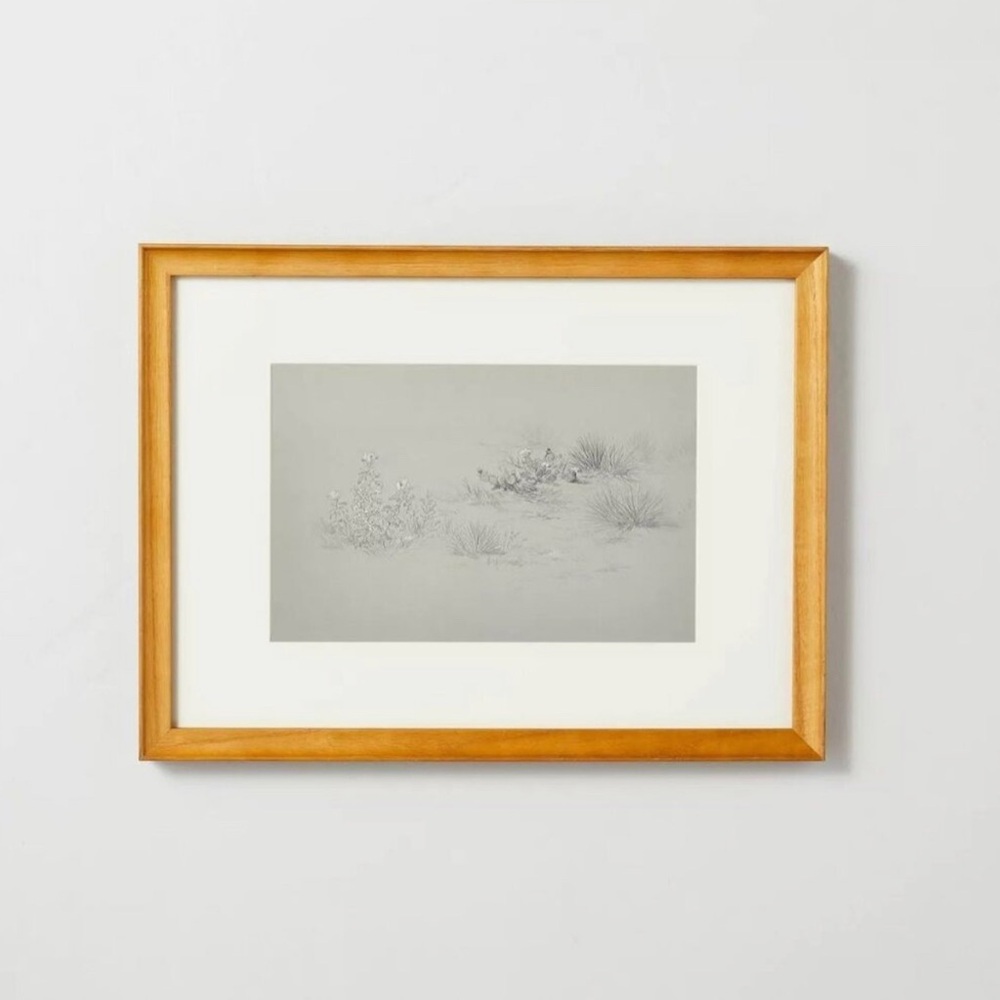 12x16 Desert Sketch Framed Wall Art - Hearth & Hand with Magnolia